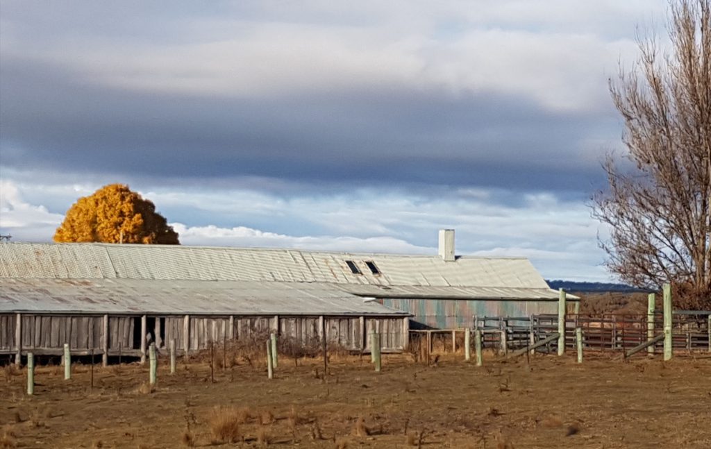 sheepshed_v1