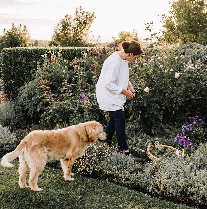 THE JOY OF A PERENNIAL GARDEN with The Garden Curator, Colleen Southwell thumbnail